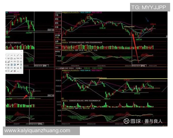 武汉足球队与上海足球队赛后技术分析与战术复盘探讨